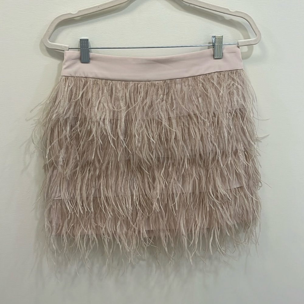 Club Monaco Skirt